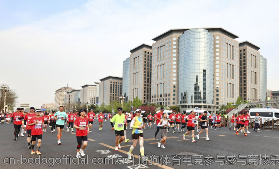 博狗体育电竞参与感与竞技乐趣全面提升
