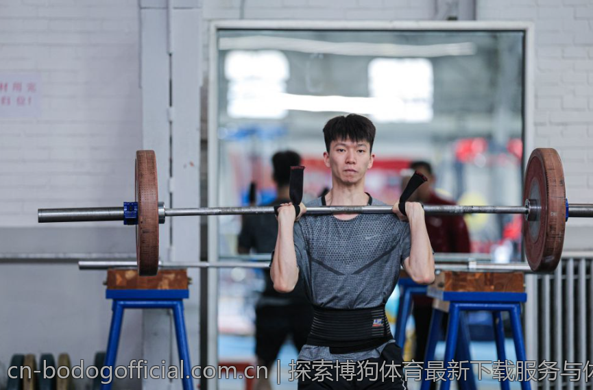 探索博狗体育最新下载服务与体验