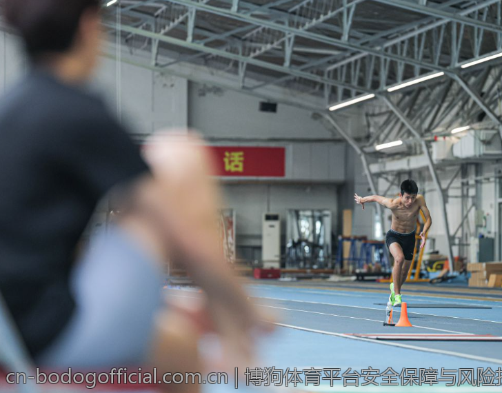 博狗体育平台安全保障与风险控制策略