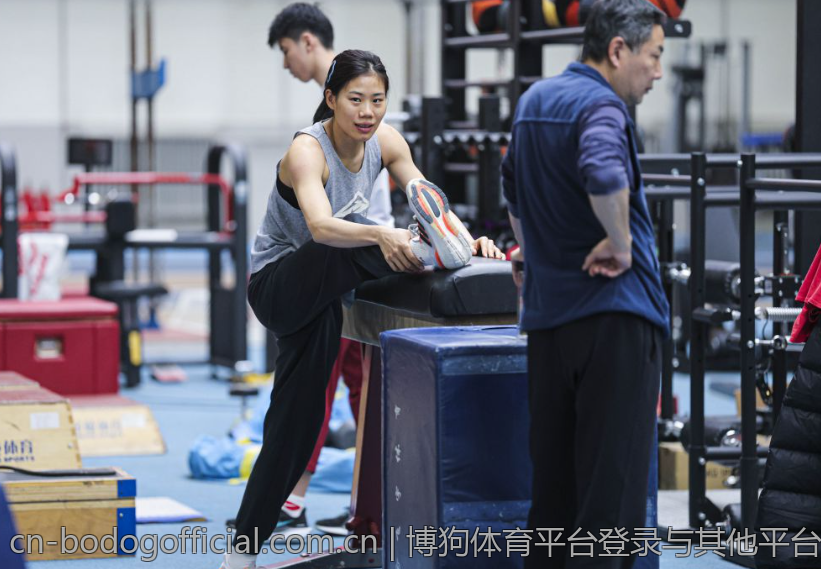 博狗体育平台登录与其他平台的比较