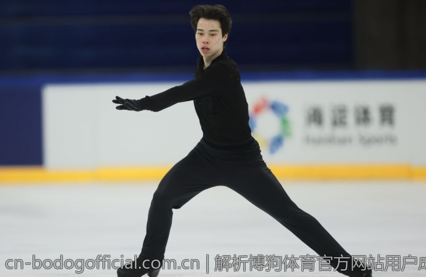 解析博狗体育官方网站用户成就与记录