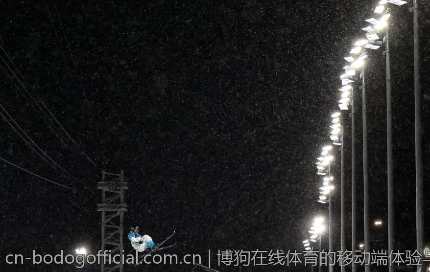博狗在线体育的移动端体验与应用