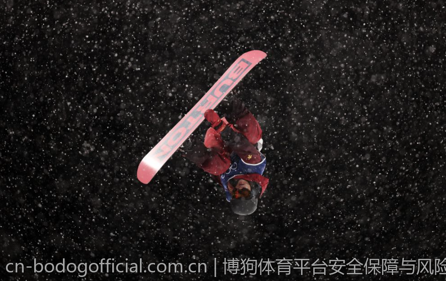 博狗体育平台安全保障与风险控制策略